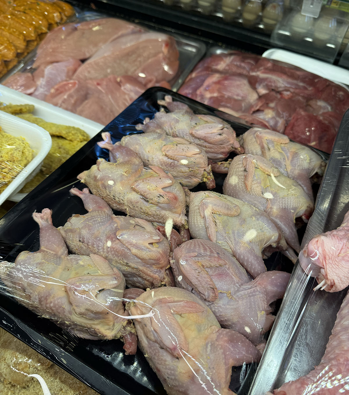 Dükkan 41